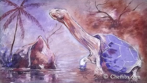 local_african_painting_from_nigeria_artist_chembaline_c_uche (2)